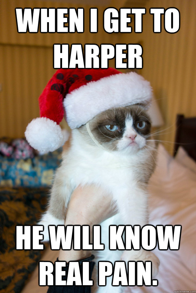 When i get to Harper he will know real pain.   Grumpy xmas