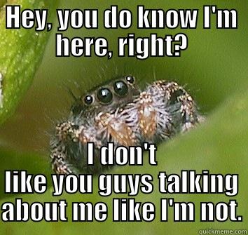 HEY, YOU DO KNOW I'M HERE, RIGHT? I DON'T LIKE YOU GUYS TALKING ABOUT ME LIKE I'M NOT. Misunderstood Spider