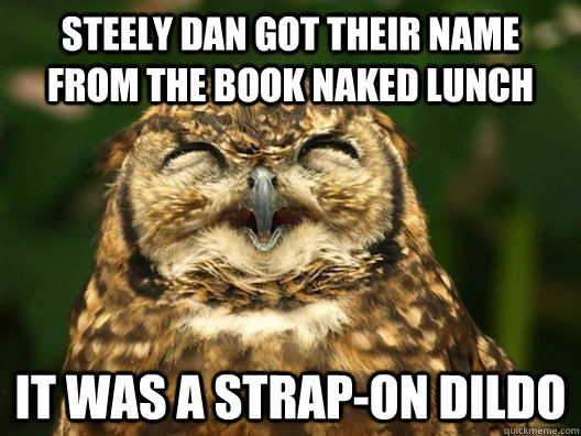 Steely Dan got their name from the book Naked Lunch It was a strap-on dildo - Steely Dan got their name from the book Naked Lunch It was a strap-on dildo  Useless Fact Owl