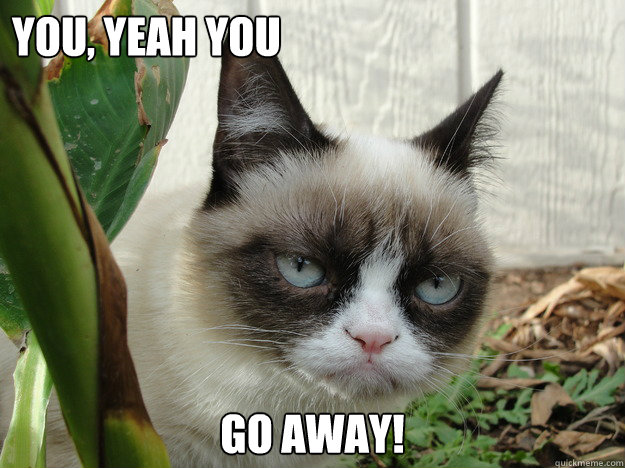 you, yeah you Go away! - you, yeah you Go away!  grumpy cat2