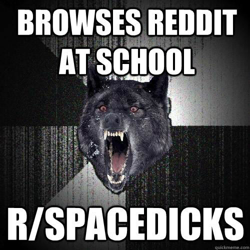 Browses Reddit at school r/spacedicks  Insanity Wolf