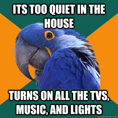 Its too quiet in the house turns on all the tvs, music, and lights  Paranoid Parrot