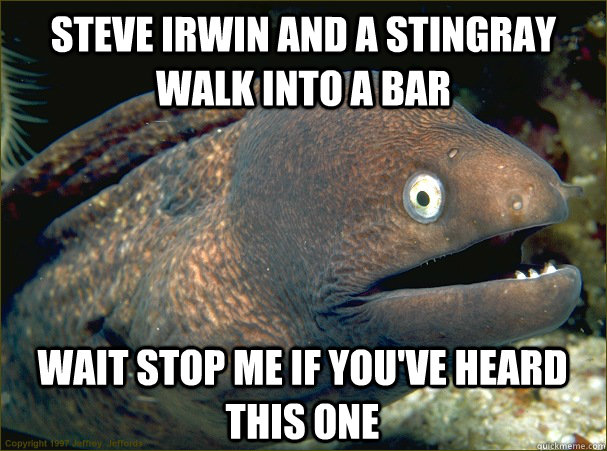 steve irwin and a stingray walk into a bar wait stop me if you've heard this one - steve irwin and a stingray walk into a bar wait stop me if you've heard this one  Bad Joke Eel