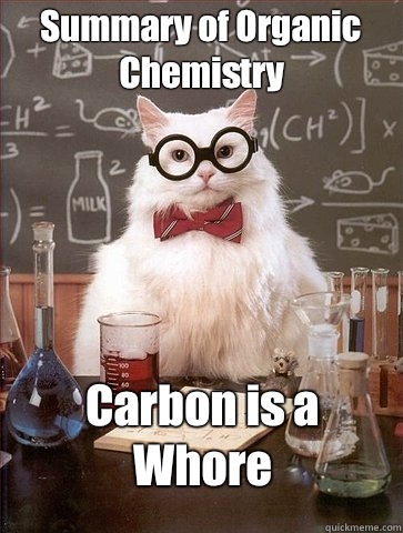 Summary of Organic Chemistry Carbon is a Whore  