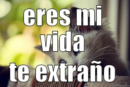 ERES MI VIDA TE EXTRAÑO First World Problems Cat