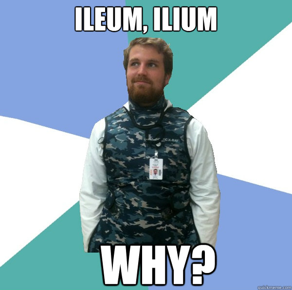 Ileum, ilium WHY?  Unabridged First Year Medical Student