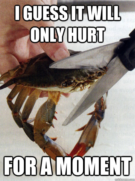 I guess it will only hurt for a moment  Optimistic Crab