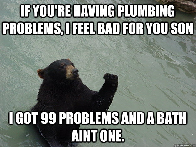 If you're having plumbing problems, I feel bad for you son I got 99 problems and a bath aint one. - If you're having plumbing problems, I feel bad for you son I got 99 problems and a bath aint one.  Vengeful Bear