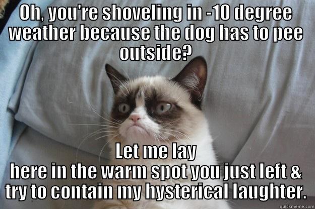 OH, YOU'RE SHOVELING IN -10 DEGREE WEATHER BECAUSE THE DOG HAS TO PEE OUTSIDE? LET ME LAY HERE IN THE WARM SPOT YOU JUST LEFT & TRY TO CONTAIN MY HYSTERICAL LAUGHTER. Grumpy Cat