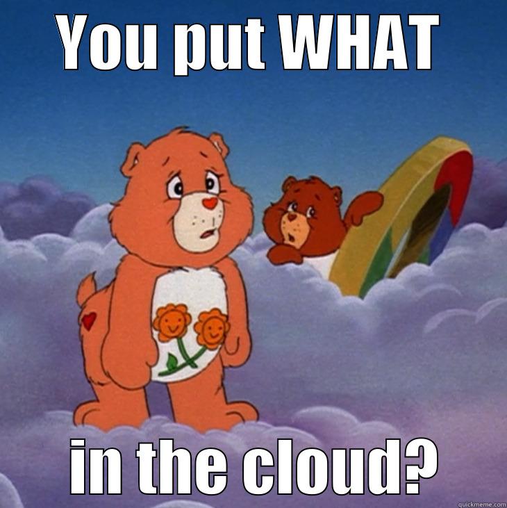 Care Bear Scared - YOU PUT WHAT  IN THE CLOUD? Misc