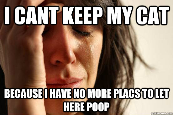 I cant keep my cat because i have no more placs to let here poop  First World Problems