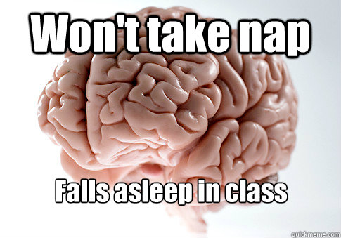 Won't take nap  Falls asleep in class - Won't take nap  Falls asleep in class  Scumbag Brain