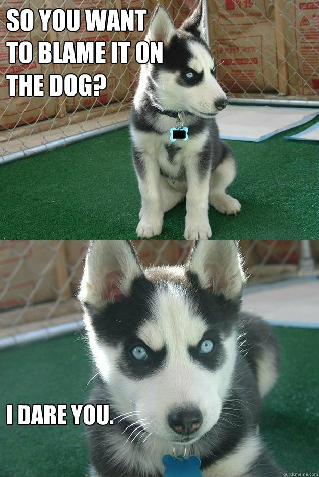 So you want 
to blame it on 
the dog? I dare you.  Insanity puppy