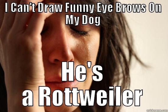 I CAN'T DRAW FUNNY EYE BROWS ON MY DOG HE'S A ROTTWEILER First World Problems