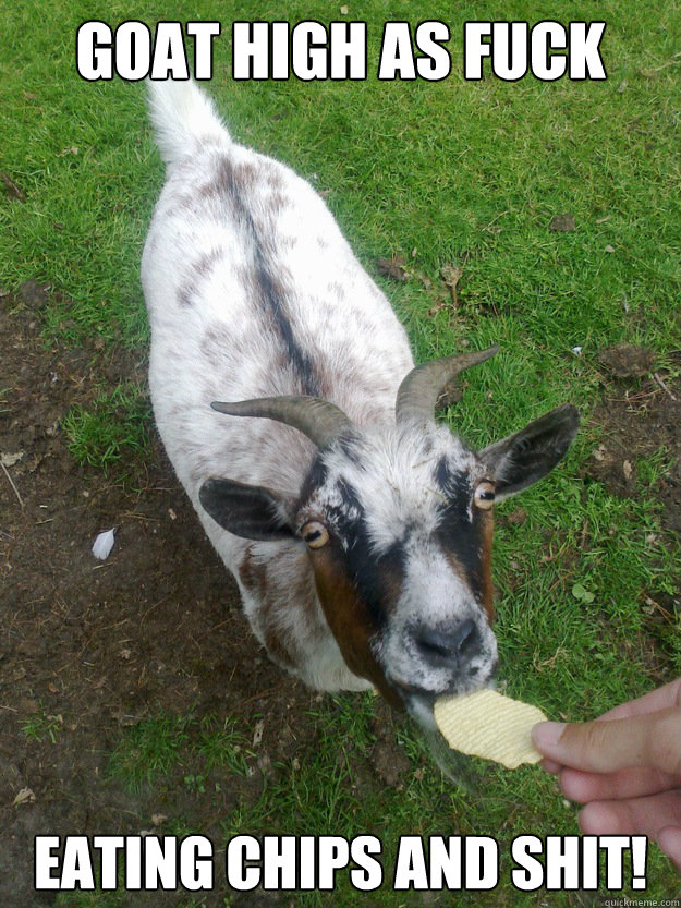from Devin goat fucking a sheep porn gif of girl blowing smoke and cum