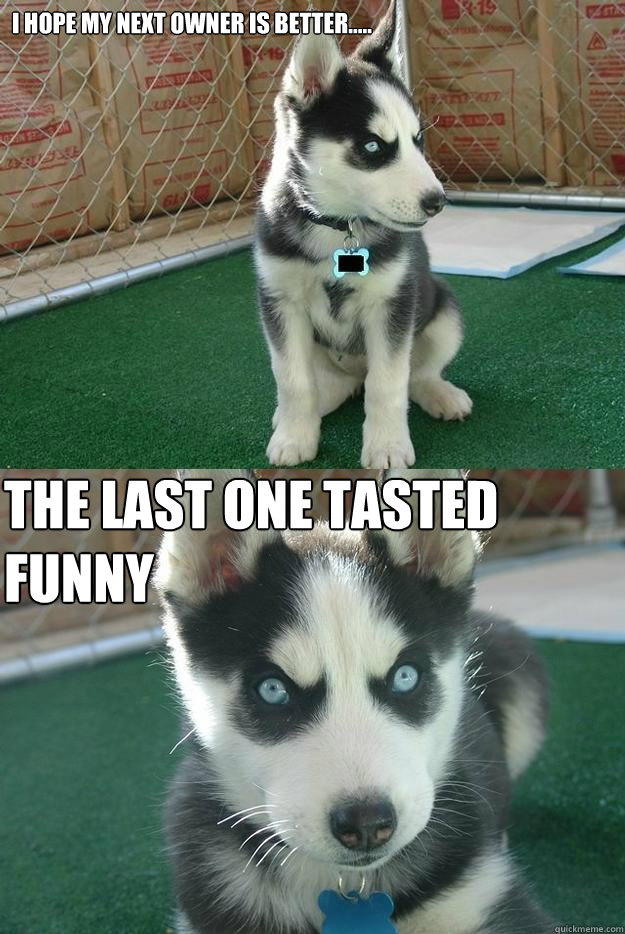 I hope my next owner is better..... The last one tasted funny  Insanity puppy