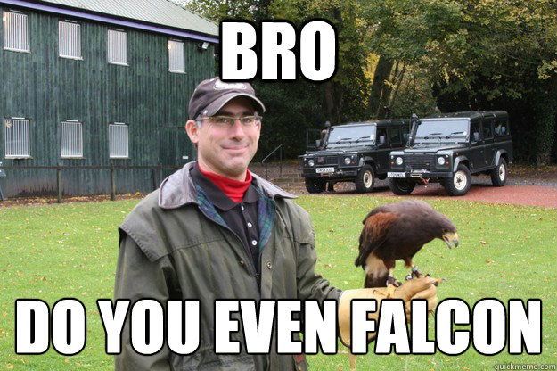 bro do you even falconÉ  Smug Falconer