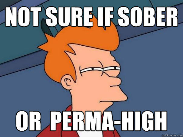 Not sure if sober or  perma-high  