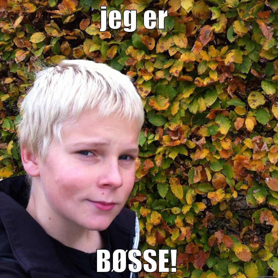 JEG ER  BØSSE! Misc