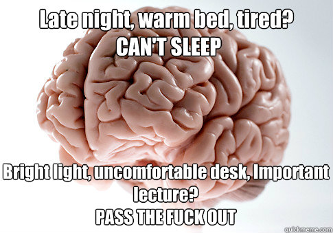 Late night, warm bed, tired?
 CAN'T SLEEP Bright light, uncomfortable desk, Important lecture? 
PASS THE FUCK OUT  - Late night, warm bed, tired?
 CAN'T SLEEP Bright light, uncomfortable desk, Important lecture? 
PASS THE FUCK OUT   Scumbag Brain