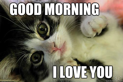 Good Morning I love you  good morning i love you