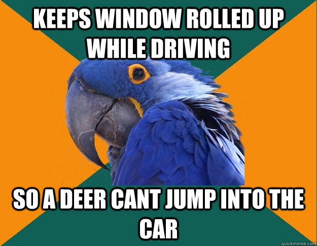 Keeps window rolled up while driving so a deer cant jump into the car  Paranoid Parrot