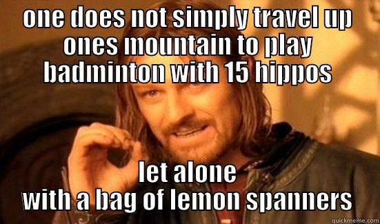ONE DOES NOT SIMPLY TRAVEL UP ONES MOUNTAIN TO PLAY BADMINTON WITH 15 HIPPOS LET ALONE WITH A BAG OF LEMON SPANNERS Boromir