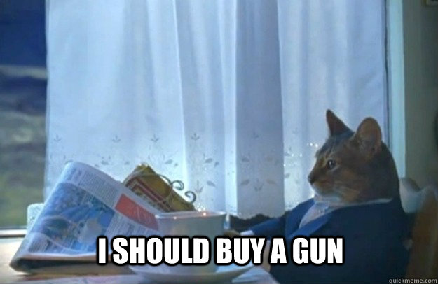 I should buy a gun  Sophisticated Cat