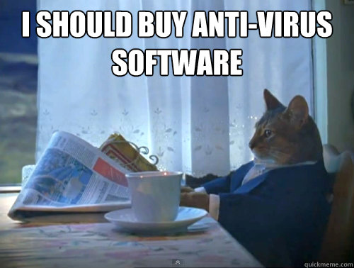 I should buy anti-virus software   The One Percent Cat