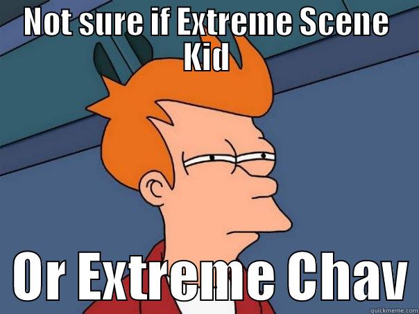 NOT SURE IF EXTREME SCENE KID   OR EXTREME CHAV Futurama Fry