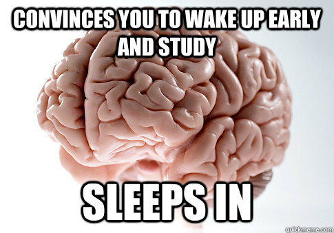 CONVINCES YOU TO WAKE UP EARLY AND STUDY SLEEPS IN   Scumbag Brain