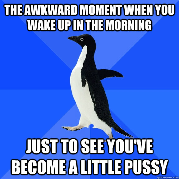the awkward moment when you wake up in the morning just to see you've become a little pussy  Socially Awkward Penguin