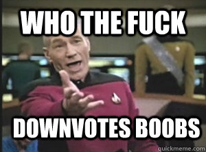 who the fuck downvotes boobs - who the fuck downvotes boobs  Annoyed Picard