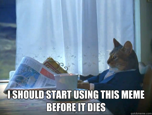  I should start using this meme before it dies  The One Percent Cat