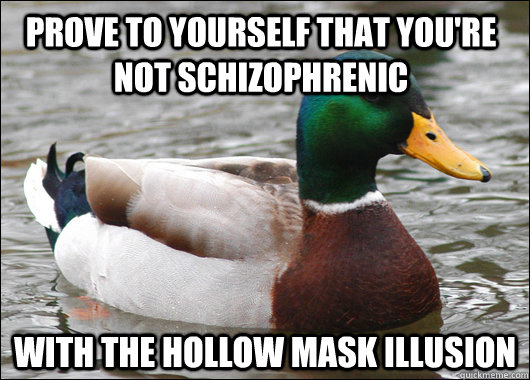 Prove to yourself that you're not schizophrenic With the hollow mask illusion  Actual Advice Mallard