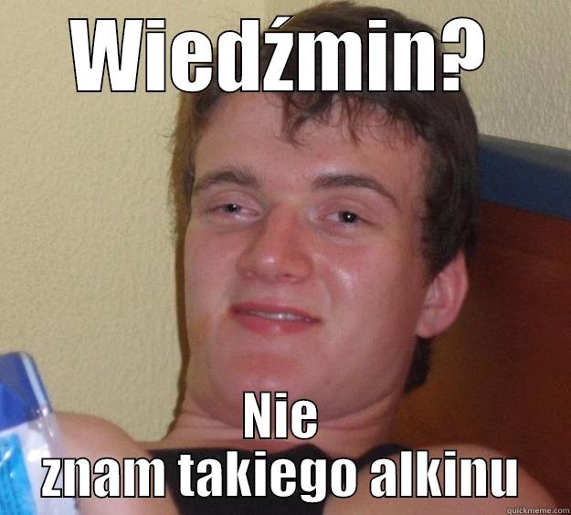 WIEDŹMIN? NIE ZNAM TAKIEGO ALKINU 10 Guy