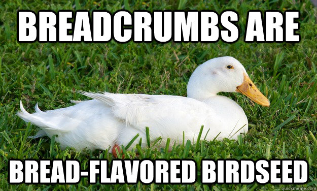 Breadcrumbs are bread-flavored birdseed  10 Duck