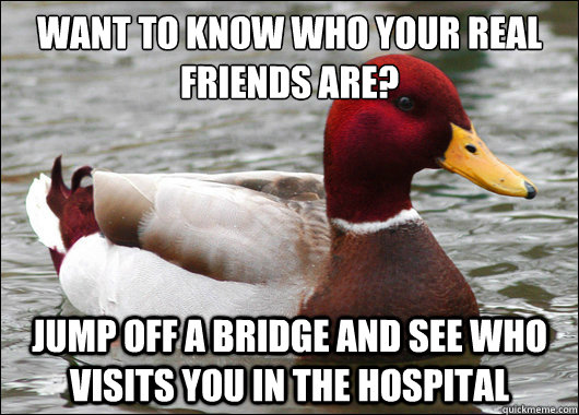 want to know who your real friends are? Jump off a bridge and see who visits you in the hospital  Malicious Advice Mallard