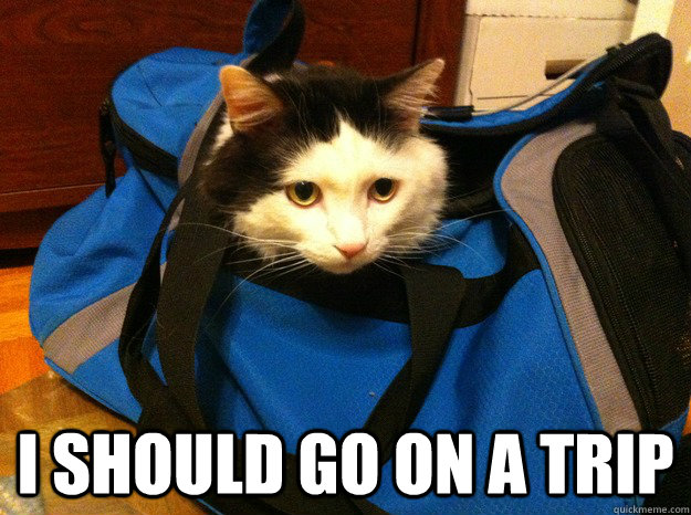 i should go on a trip  Travelling Cat