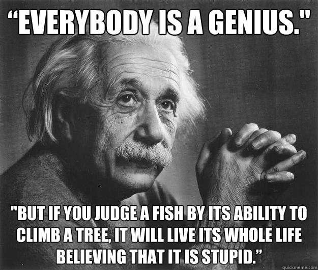 “Everybody is a genius.