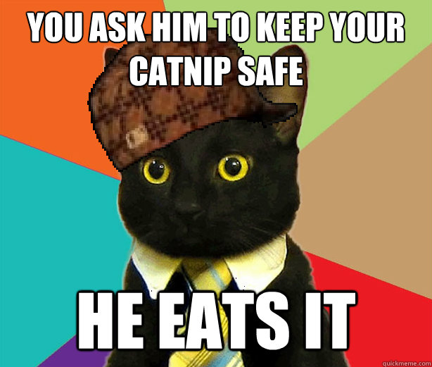 you ask him to keep your catnip safe he eats it  Scumbag Cat