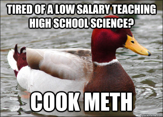 Tired of a low salary teaching high school science? Cook meth  Malicious Advice Mallard