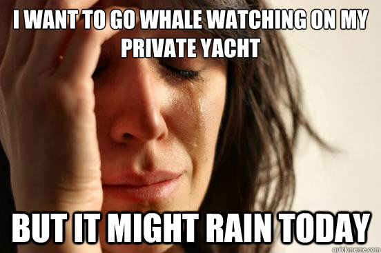 I want to go whale watching on my private yacht But it might rain today  First World Problems