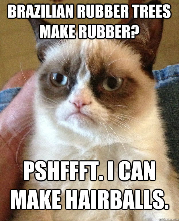 Brazilian rubber trees make rubber? PSHFFFT. I can make hairballs.  Grumpy Cat