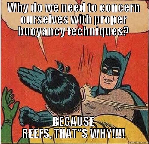 Because reefs, that's why! - WHY DO WE NEED TO CONCERN OURSELVES WITH PROPER BUOYANCY TECHNIQUES? BECAUSE REEFS, THAT