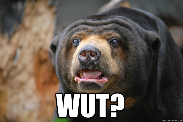 WUT? - WUT?  sunbear