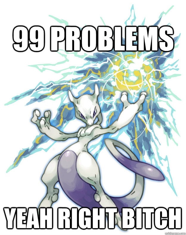 99 problems yeah right bitch  