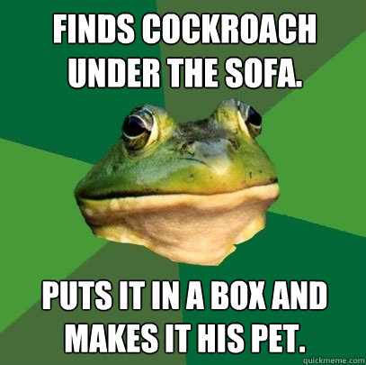 Finds cockroach under the sofa. Puts it in a box and makes it his pet.  Foul Bachelor Frog