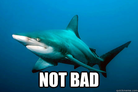  Not Bad -  Not Bad  Not Bad Shark