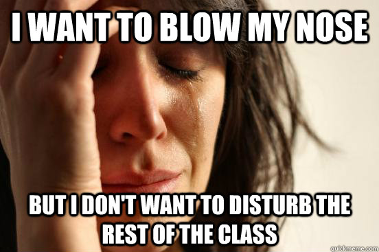 I want to blow my nose but I don't want to disturb the rest of the class   First World Problems